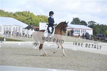 169624_kbb_01__KBB8599.JPG