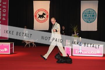 126827_tl_02_IMG_3134.JPG