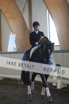 139267_kl_1_8M1Q6743.JPG
