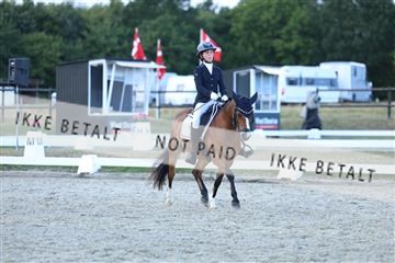181894_mtp_05_R62_5450.JPG