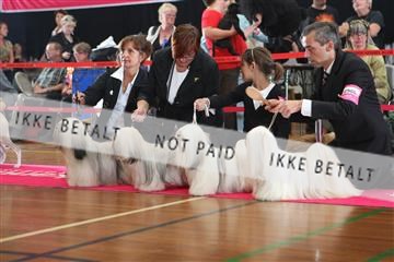 6068_ma_05_IMG_5550.JPG