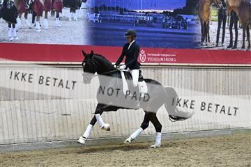 182241_kbb_01_Z094765.JPG