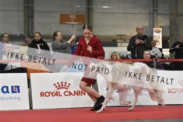 164856_bkn_01__BKN7481.JPG
