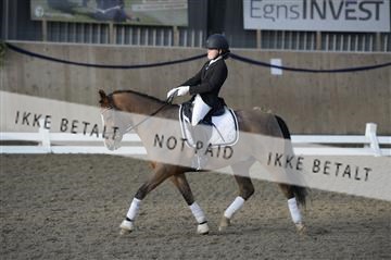 154367_ms_01__MS18158.JPG