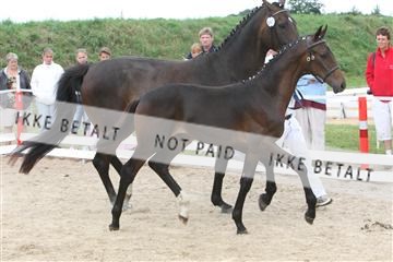 125406_TBJ_01_IMG_1417.JPG