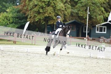 181923_mtp_01_R62_6769.JPG
