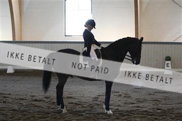 139267_kl_1_8M1Q6834.JPG