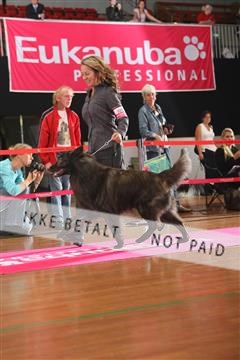 6068_ma_05_IMG_6094.JPG