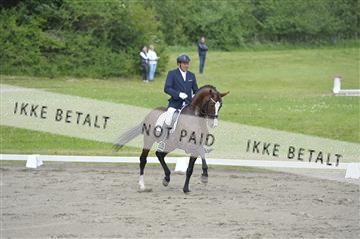 140040_abo_01__AB17146.JPG