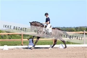 181449_bc_01R62_6267.JPG