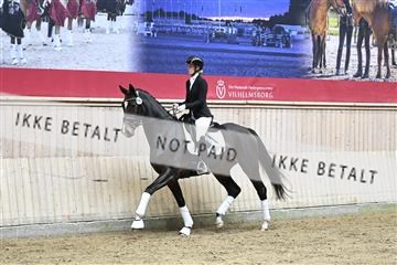 182241_kbb_01_Z094522.JPG