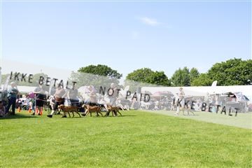 181564_kar_01__62_7741.JPG