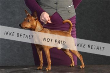 132082_le_ 01_IMG_0210.JPG