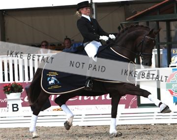 5982_BC_02_IMG_5070 red.jpg