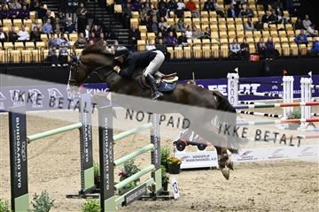 182194_kbb_02_Z099553.JPG