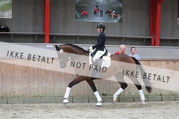 181867_mtp_02_R62_4472.JPG