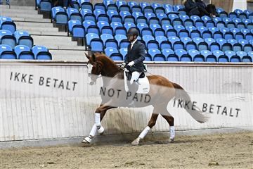 182241_kbb_01_Z094215.JPG