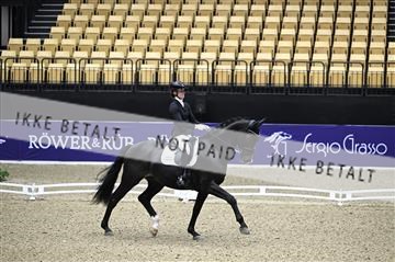 182194_kbb_01_Z095547.JPG