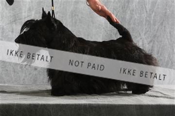 129608_le_ 02_0107.JPG