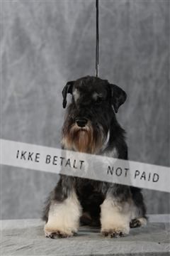 128239_le_kort_ 01_0395.JPG