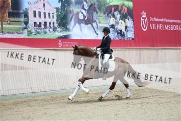 181887_mtp_04_R62_8367.JPG