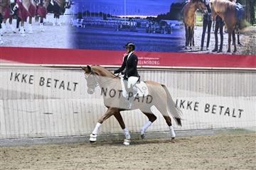 182241_kbb_01_Z093784.JPG