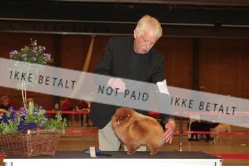 124188 _tl_02_IMG_9321.JPG