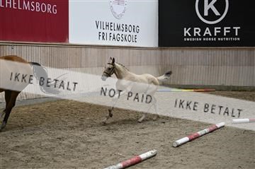 181754_kbb_01_Z093341.JPG
