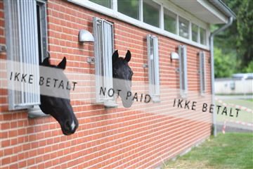 165985_kuo_01_D05_1913.JPG