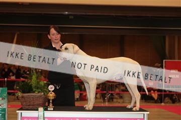 124188 _tl_02_IMG_9517.JPG