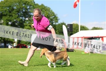 181564_rin_01_R62_0577.JPG