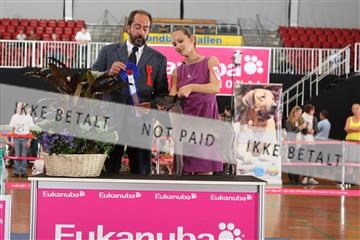 6068_ma_07_IMG_7019.JPG