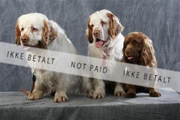 129608_le_ 01_0726.JPG