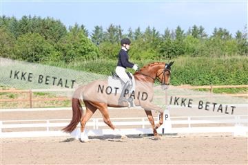 181449_bc_01R62_6568.JPG