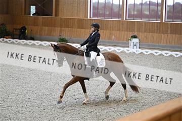 182176_kbb_01_Z093206.JPG