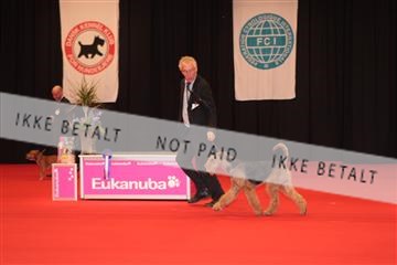 126827_tl_04_IMG_9957.JPG