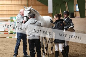 139265_kl_1_8M1Q6369.JPG