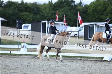 181894_mtp_05_R62_5136.JPG