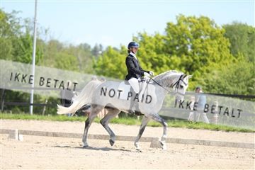 168732_mtp_01_3M5A7336.JPG