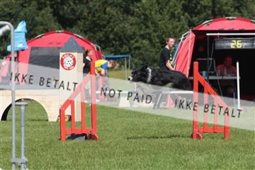 130370_tl_02_IMG_7810.JPG