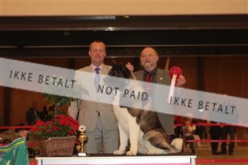 124188 _tl_02_IMG_9326.JPG