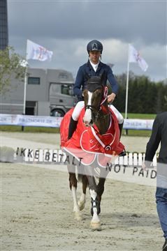 139644_abo_12__AB16501.JPG