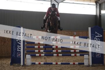 139206_kl_1_8M1Q5254.JPG