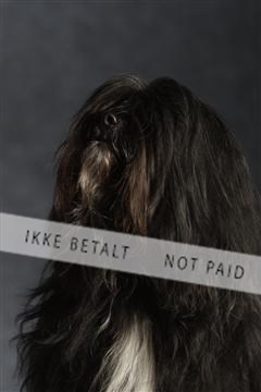 132082_le_ 01_IMG_1537.JPG