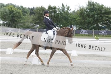166078_rhj_01__J7R3417.JPG