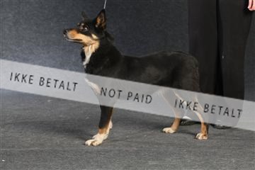 132082_le_ 01_IMG_1361.JPG