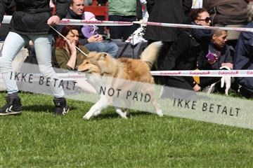134871_ms_02_IMG_3386.JPG