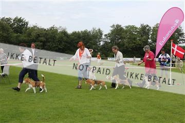 135616_jbr_03_IMG_1648.JPG