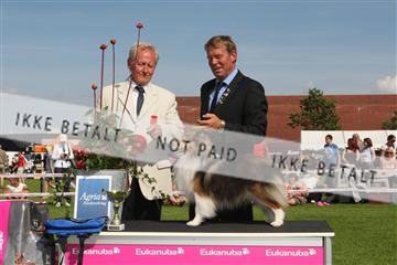 130370_se_03_IMG_7774.JPG