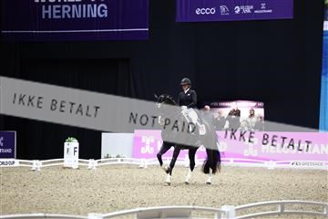 182194_avh_07_4297.JPG